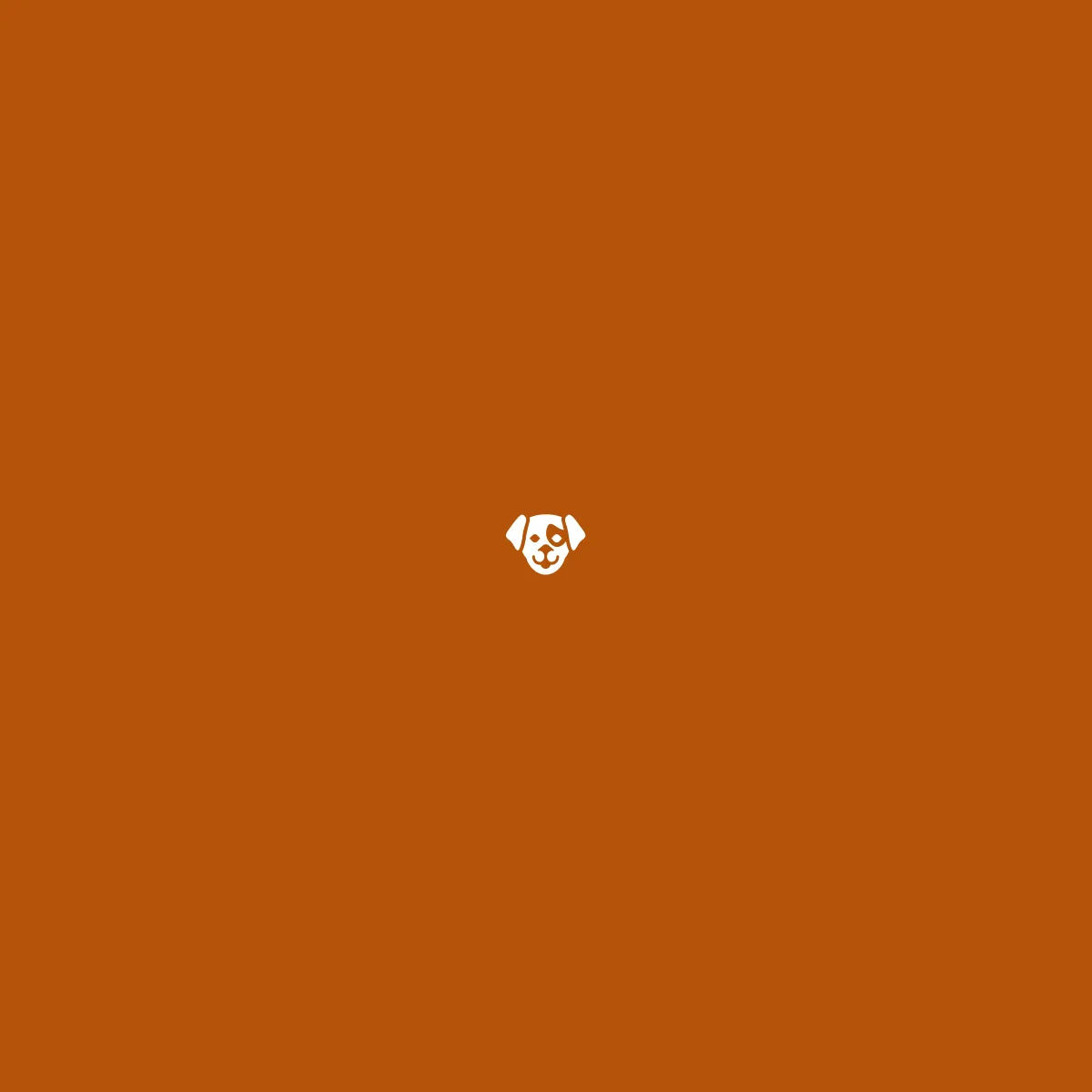 Filhotes de vira-lata para adoção